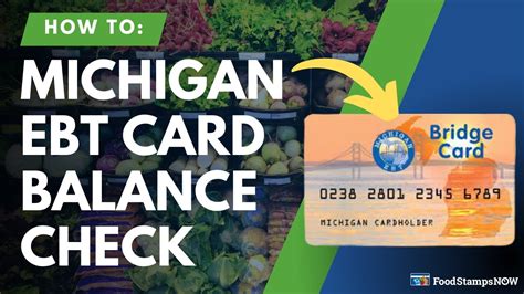 check my michigan ebt balance.